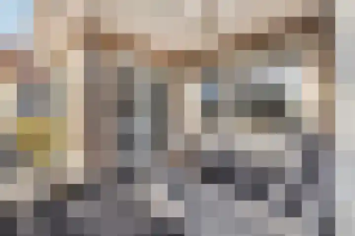 Koedood 33 c Rhoon thumbnail 55