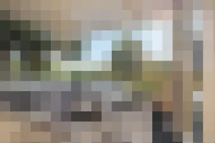 Koedood 33 c Rhoon thumbnail 56