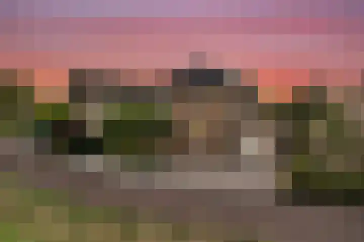 Koedood 33 c Rhoon thumbnail 58