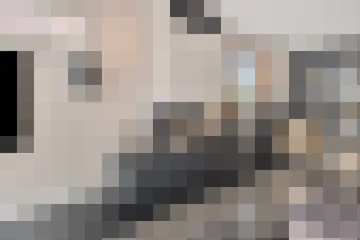 Koedood 33 c Rhoon thumbnail 6