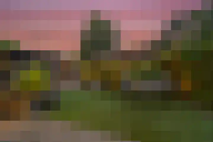 Koedood 33 c Rhoon thumbnail 60