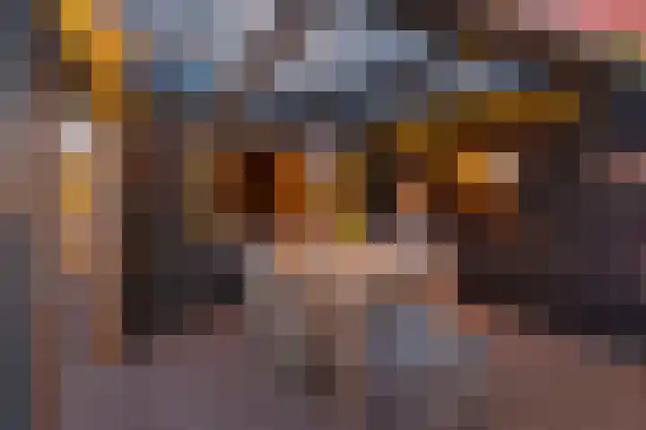 Koedood 33 c Rhoon thumbnail 62