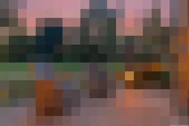 Koedood 33 c Rhoon thumbnail 63