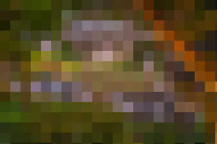 Koedood 33 c Rhoon thumbnail 66