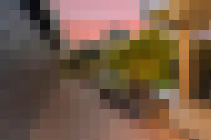 Koedood 33 c Rhoon thumbnail 67