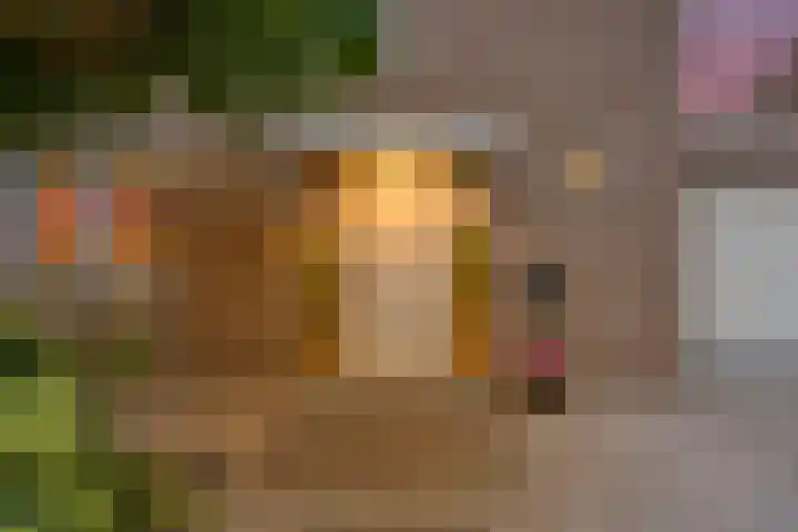 Koedood 33 c Rhoon thumbnail 68