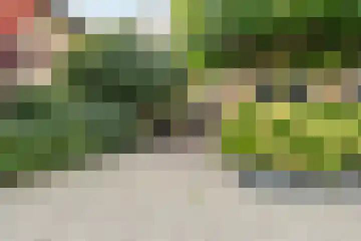 Koedood 33 c Rhoon thumbnail 69
