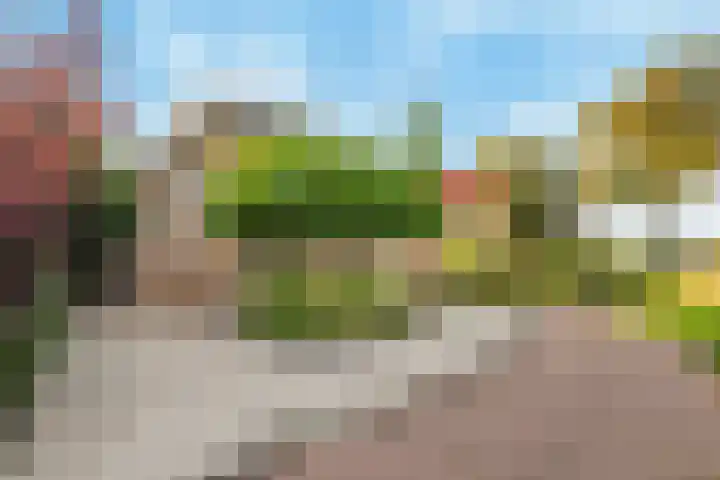 Koedood 33 c Rhoon thumbnail 70