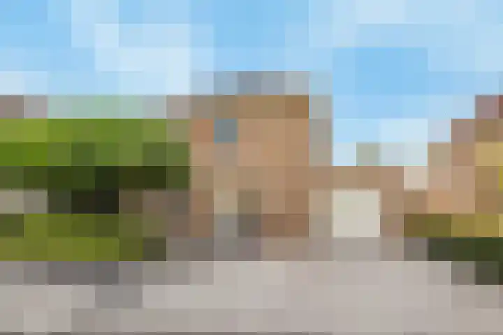 Koedood 33 c Rhoon thumbnail 71