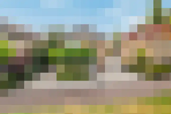 Koedood 33 c Rhoon thumbnail 72