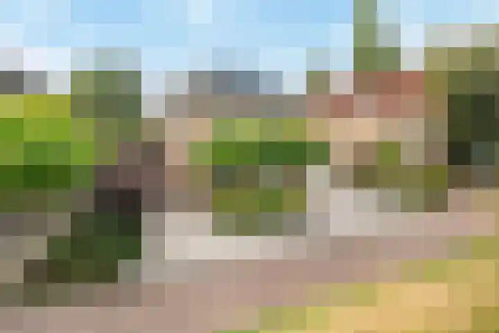 Koedood 33 c Rhoon thumbnail 73