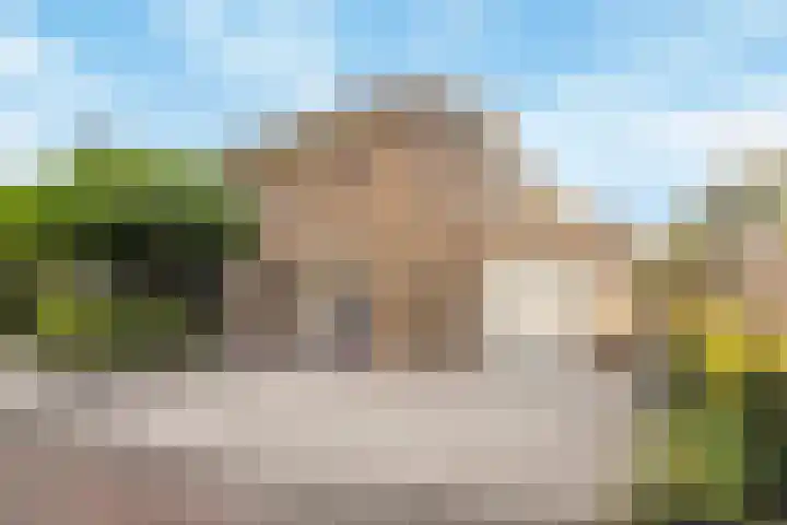 Koedood 33 c Rhoon thumbnail 74