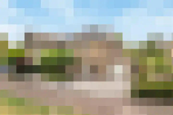Koedood 33 c Rhoon thumbnail 75