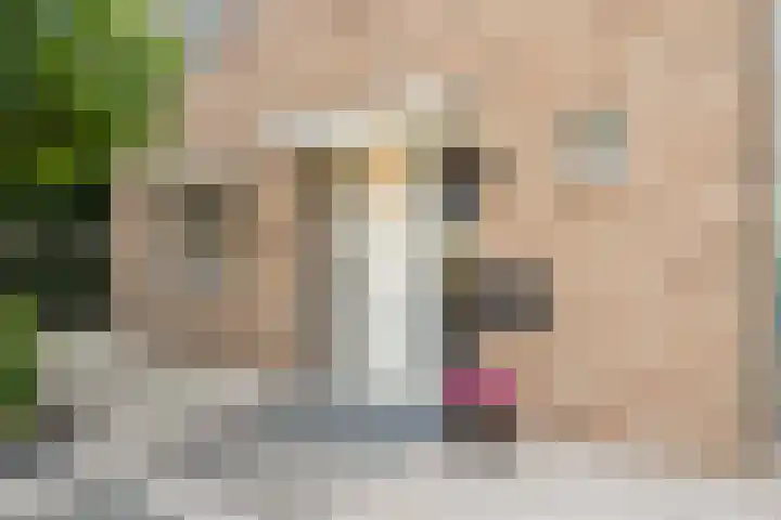 Koedood 33 c Rhoon thumbnail 76