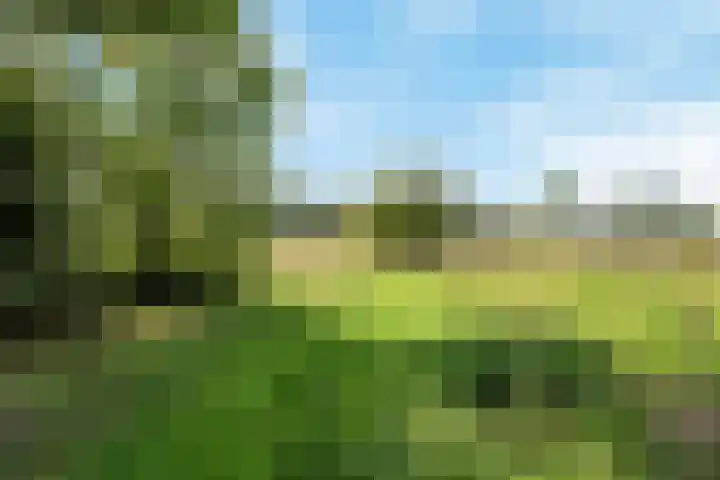 Koedood 33 c Rhoon thumbnail 77