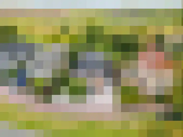 Koedood 33 c Rhoon thumbnail 78