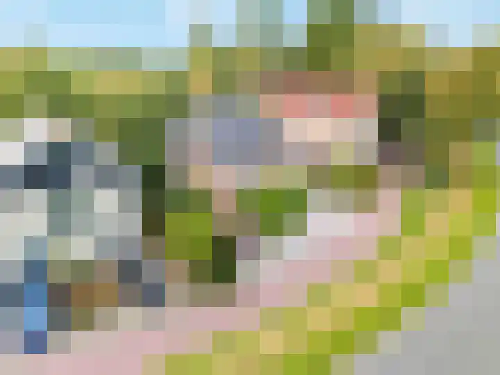 Koedood 33 c Rhoon thumbnail 79