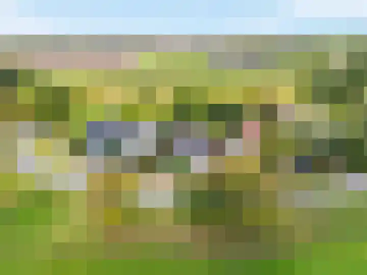 Koedood 33 c Rhoon thumbnail 80