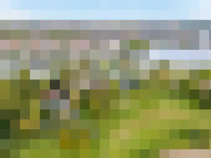 Koedood 33 c Rhoon thumbnail 82