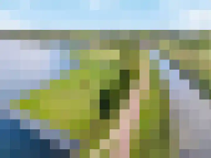 Koedood 33 c Rhoon thumbnail 83