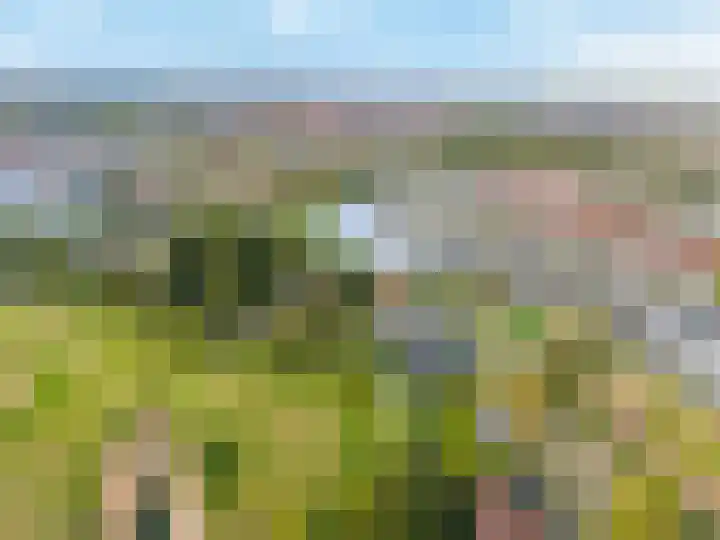 Koedood 33 c Rhoon thumbnail 84