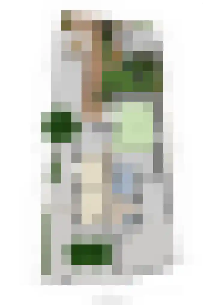 Koedood 33 c Rhoon thumbnail 85