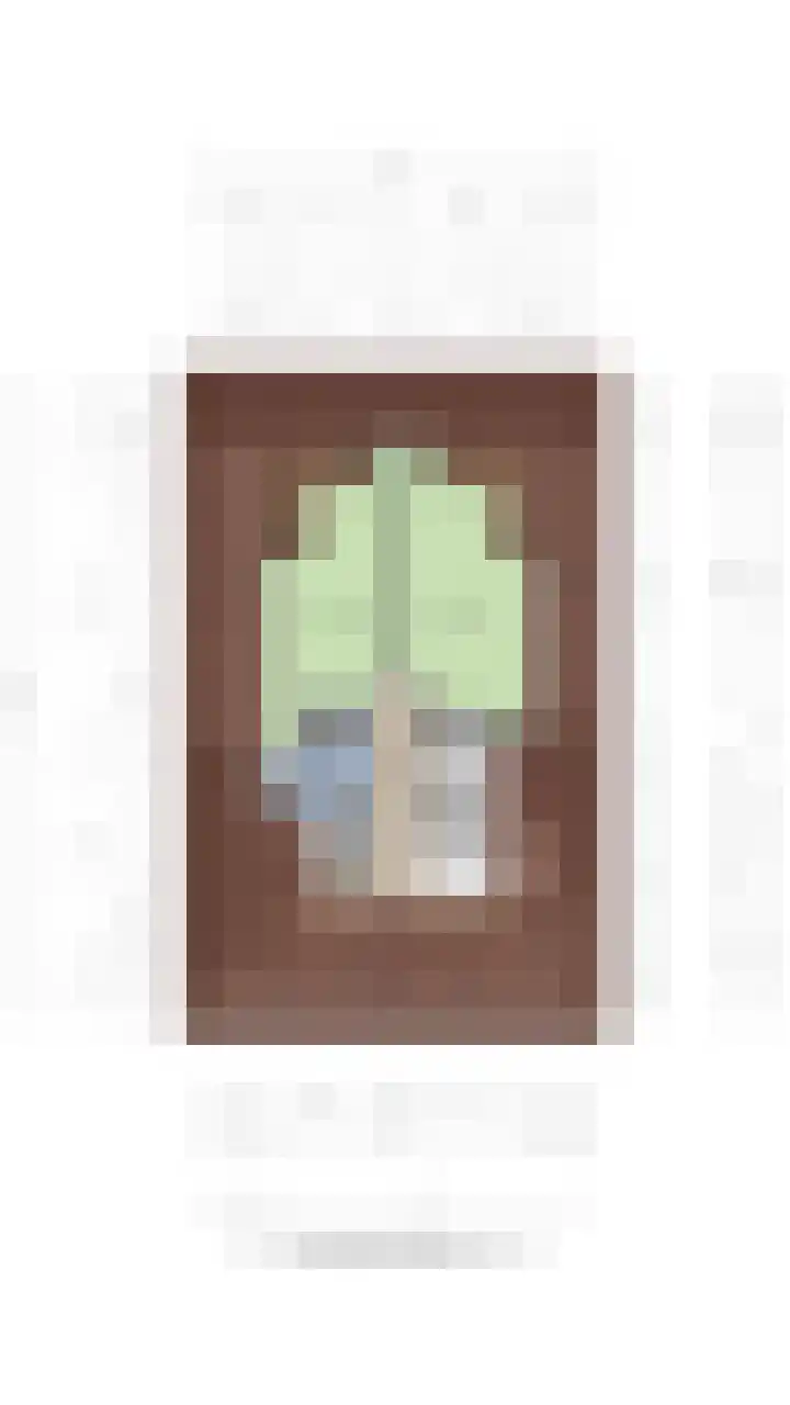 Koedood 33 c Rhoon thumbnail 88