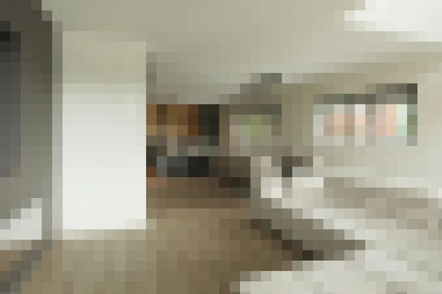 Koedoodsekade 10 Rhoon thumbnail 16