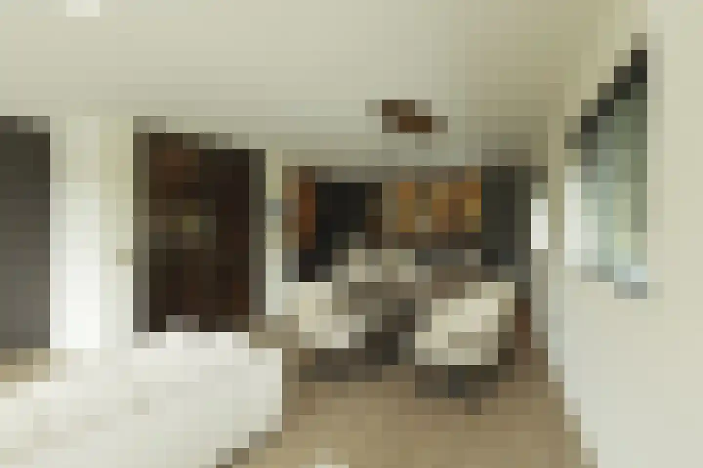 Koedoodsekade 10 Rhoon thumbnail 17