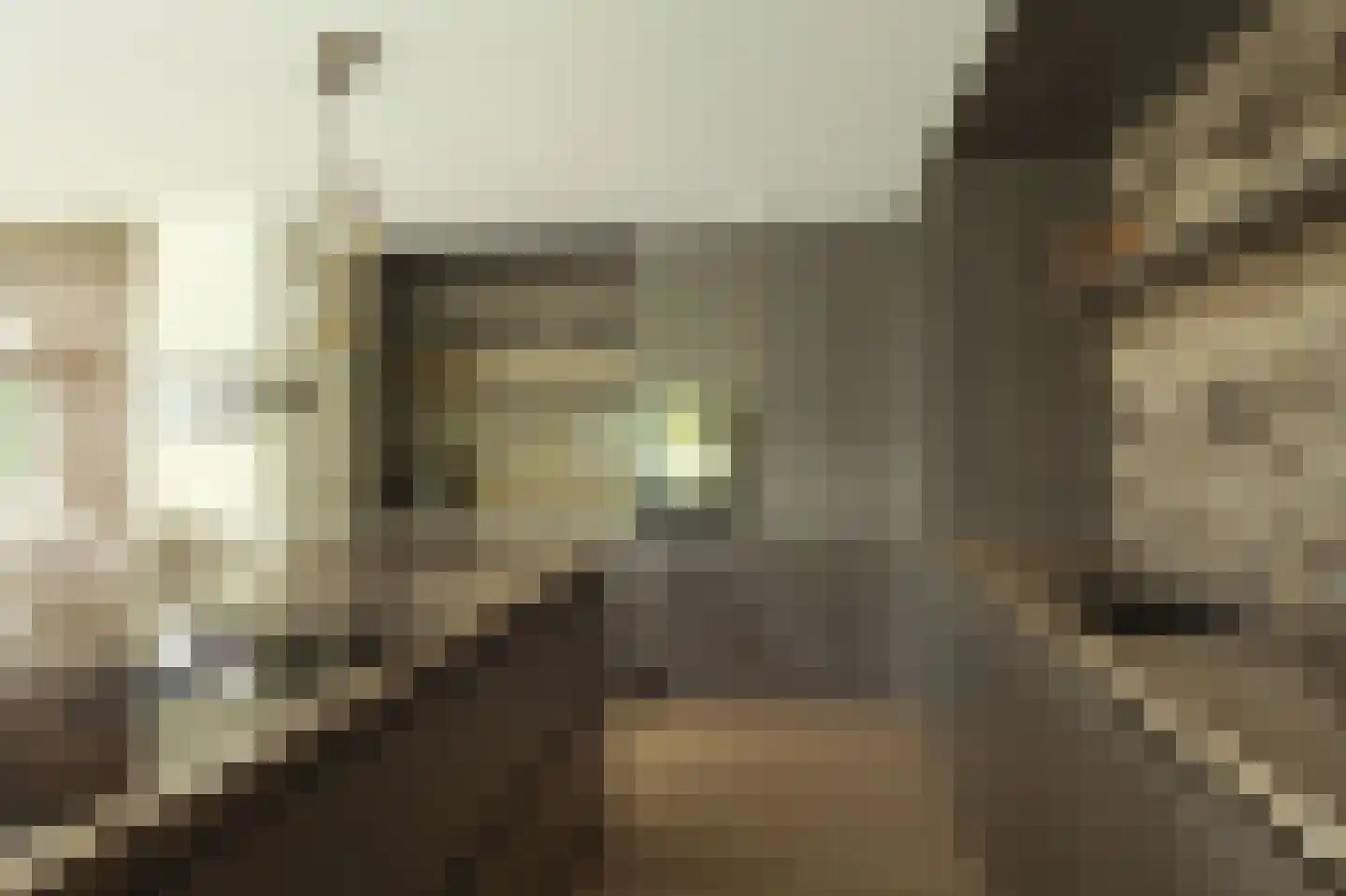 Koedoodsekade 10 Rhoon thumbnail 18