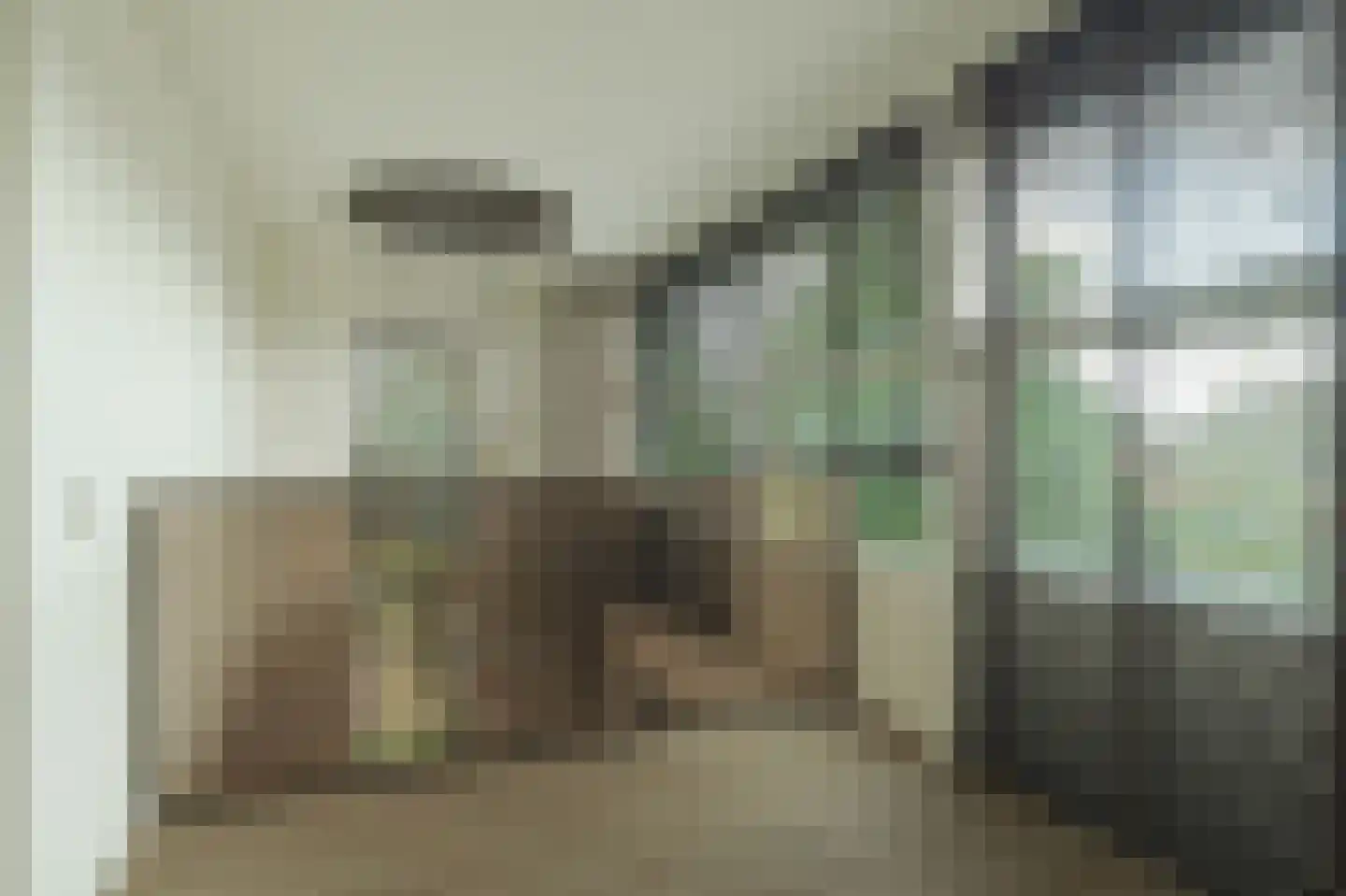 Koedoodsekade 10 Rhoon thumbnail 28