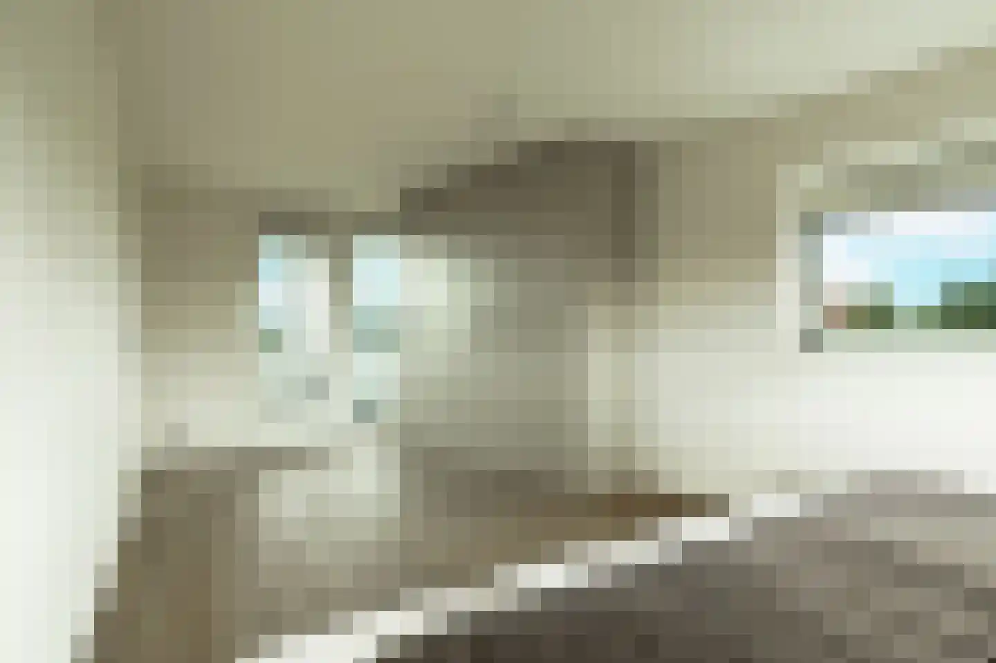 Koedoodsekade 10 Rhoon thumbnail 35