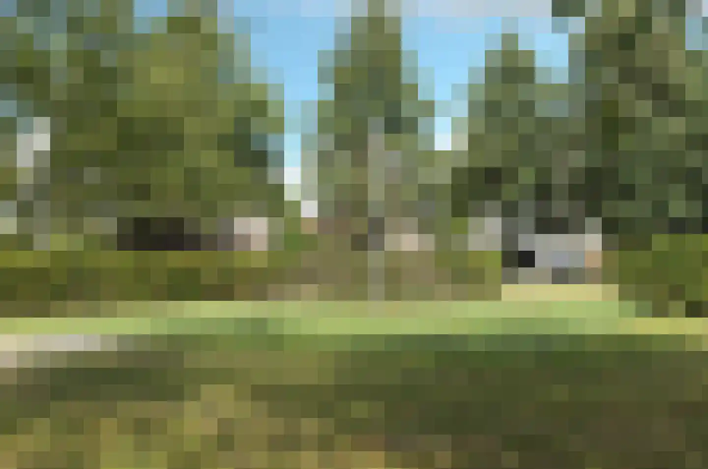 Koedoodsekade 10 Rhoon thumbnail 45