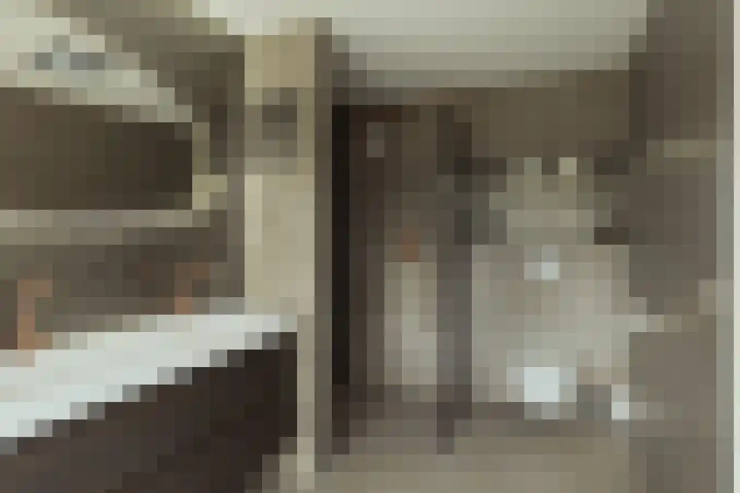 Koedoodsekade 10 Rhoon thumbnail 5