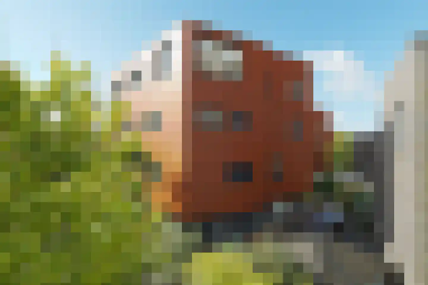 Koedoodsekade 10 Rhoon thumbnail 50