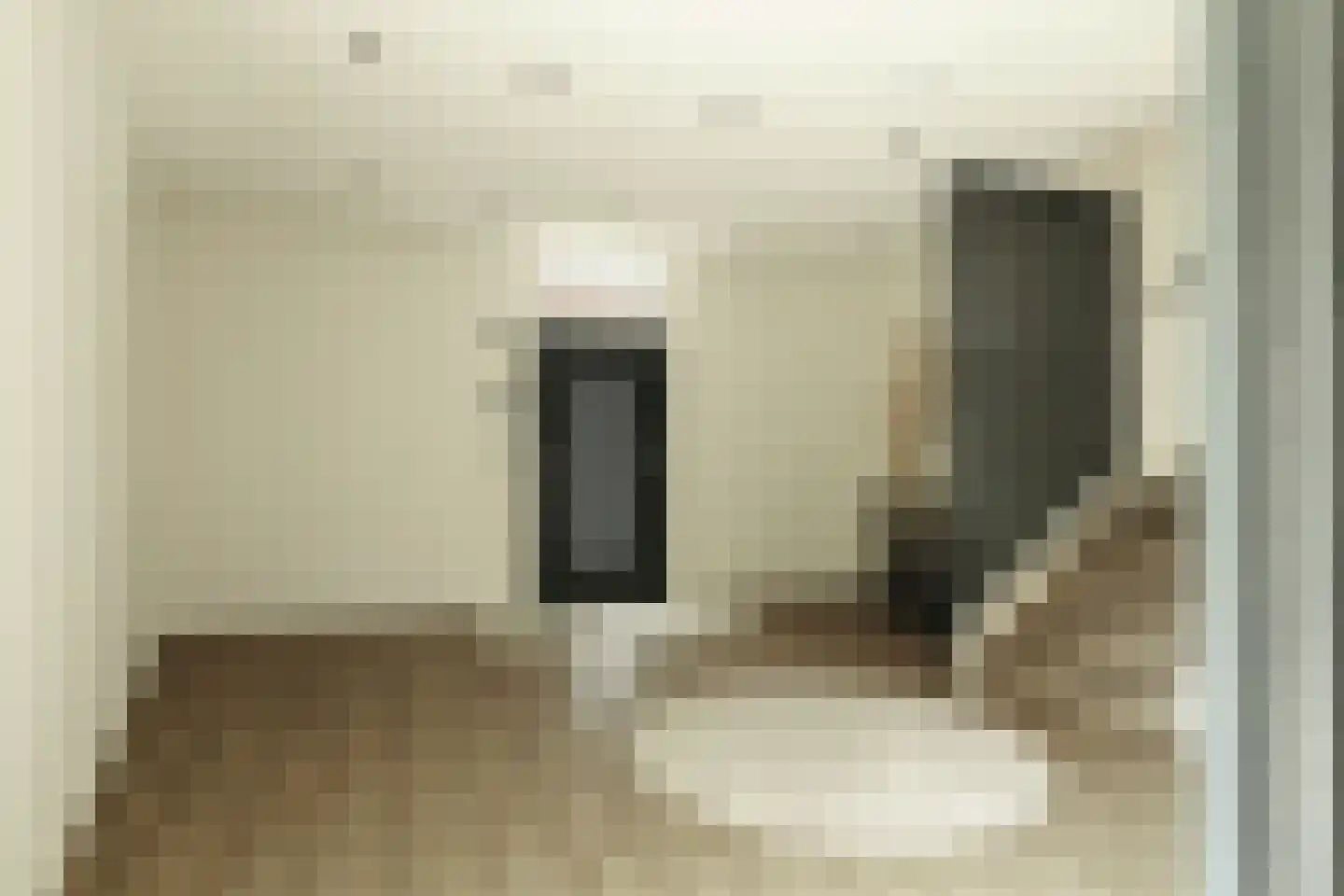 Koedoodsekade 10 Rhoon thumbnail 9