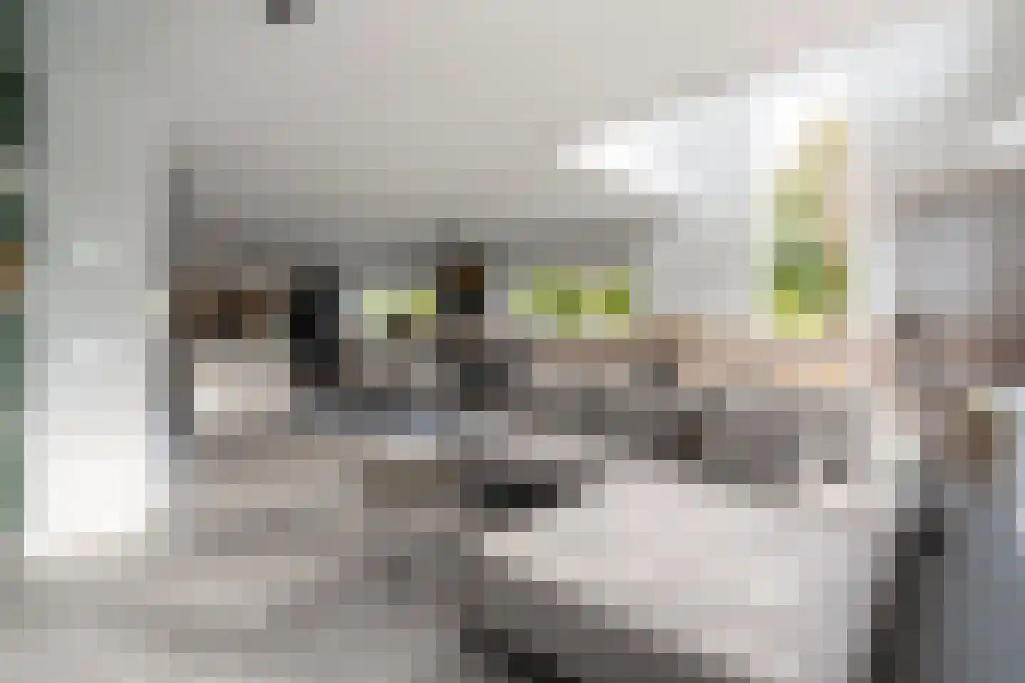 Koedoodsekade 2 Rhoon thumbnail 10