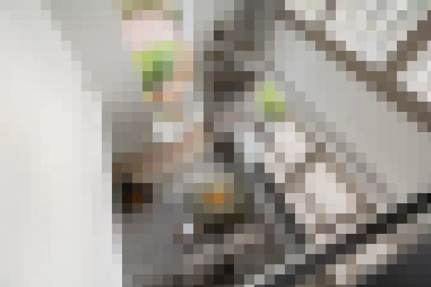 Koedoodsekade 2 Rhoon thumbnail 12
