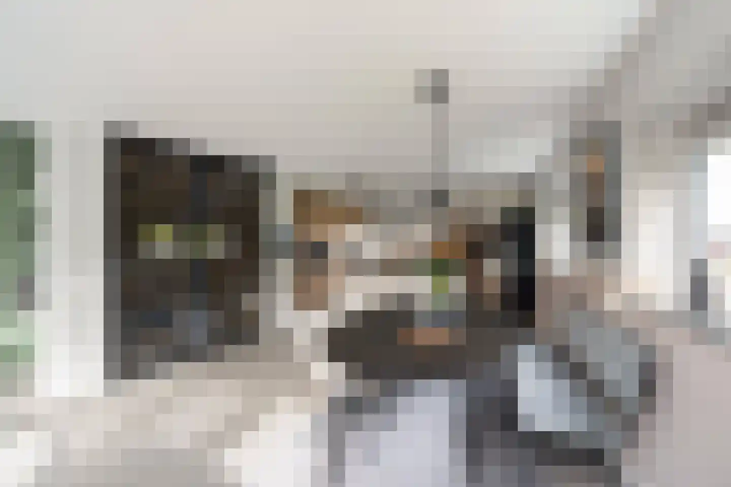 Koedoodsekade 2 Rhoon thumbnail 14
