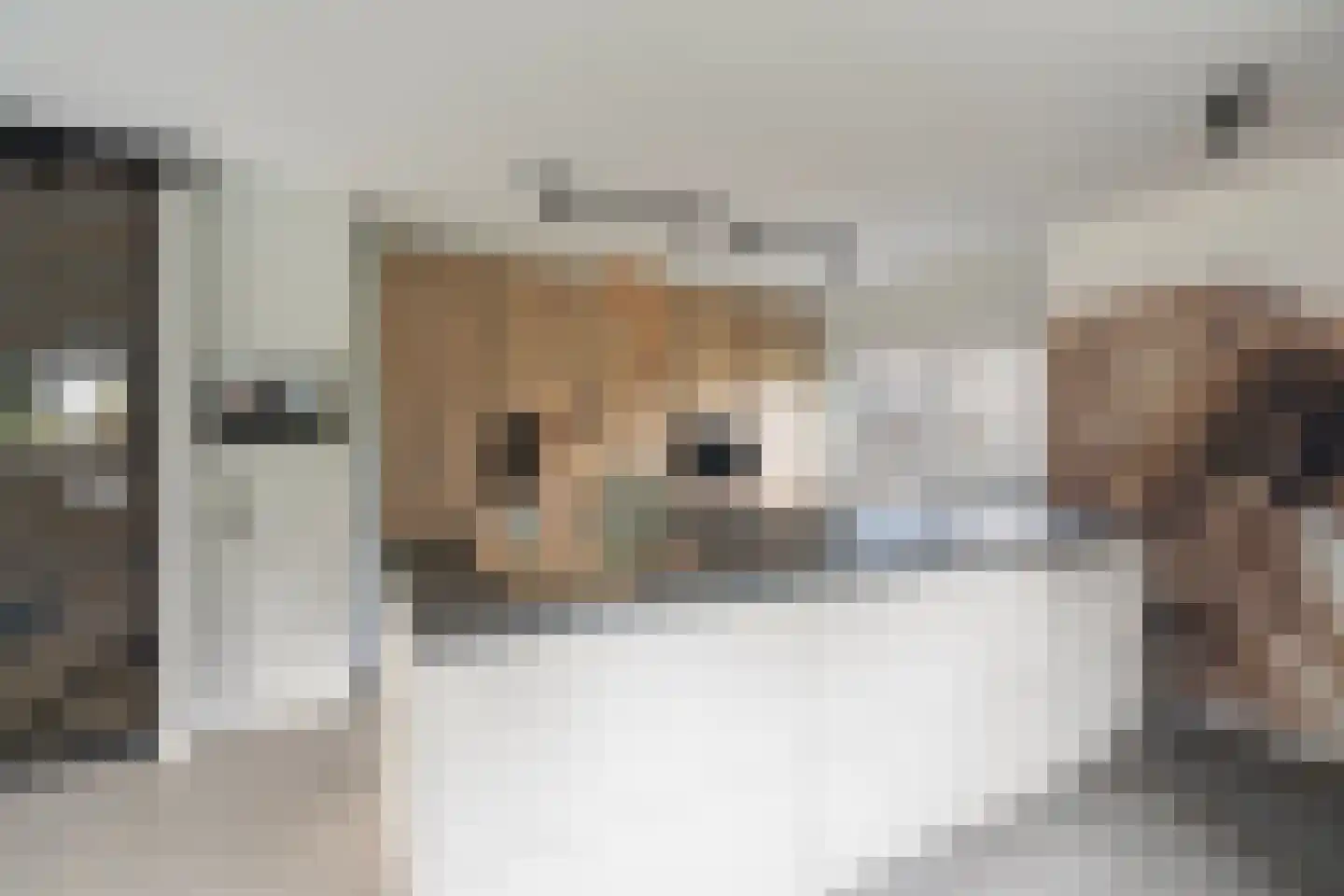 Koedoodsekade 2 Rhoon thumbnail 15