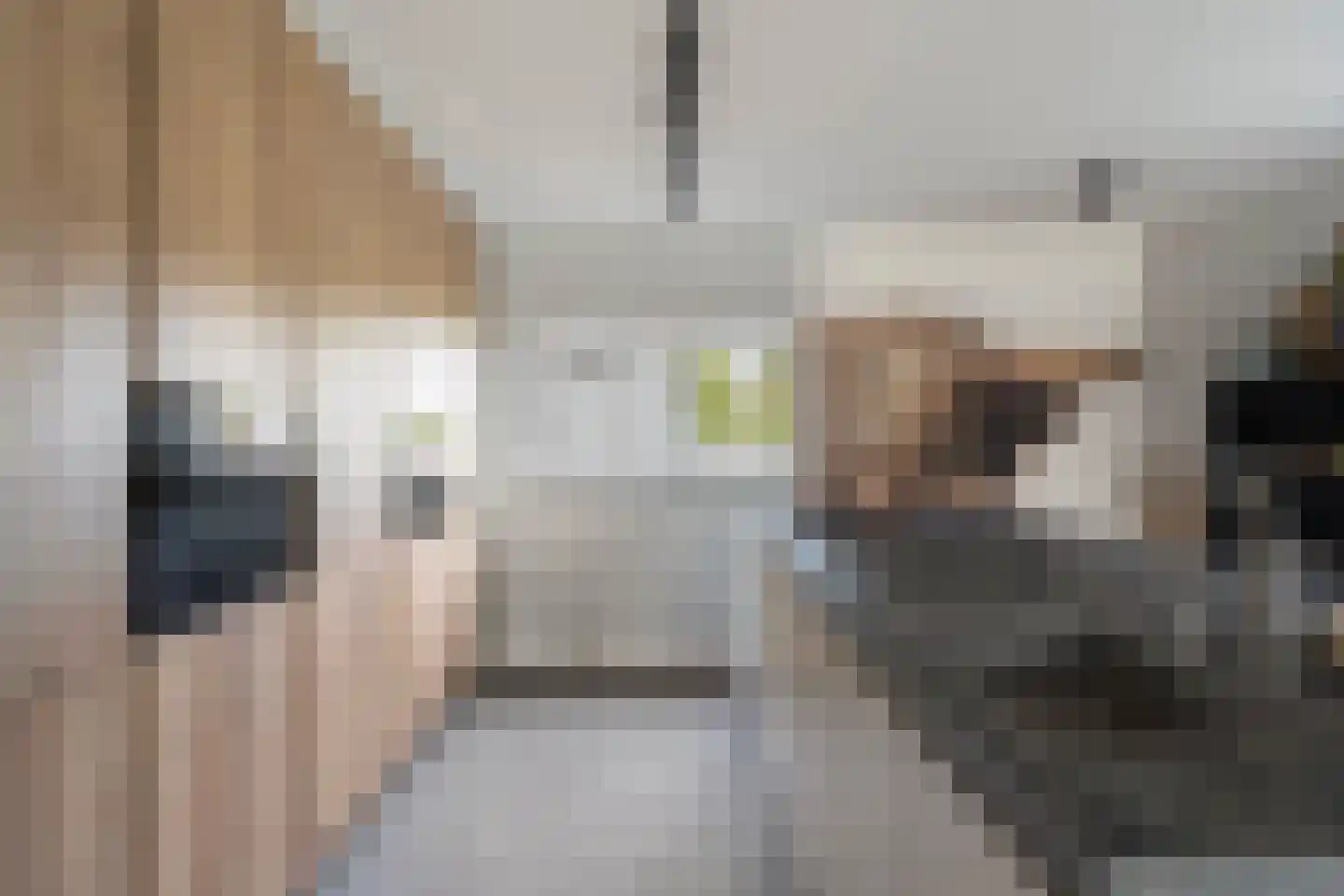 Koedoodsekade 2 Rhoon thumbnail 16
