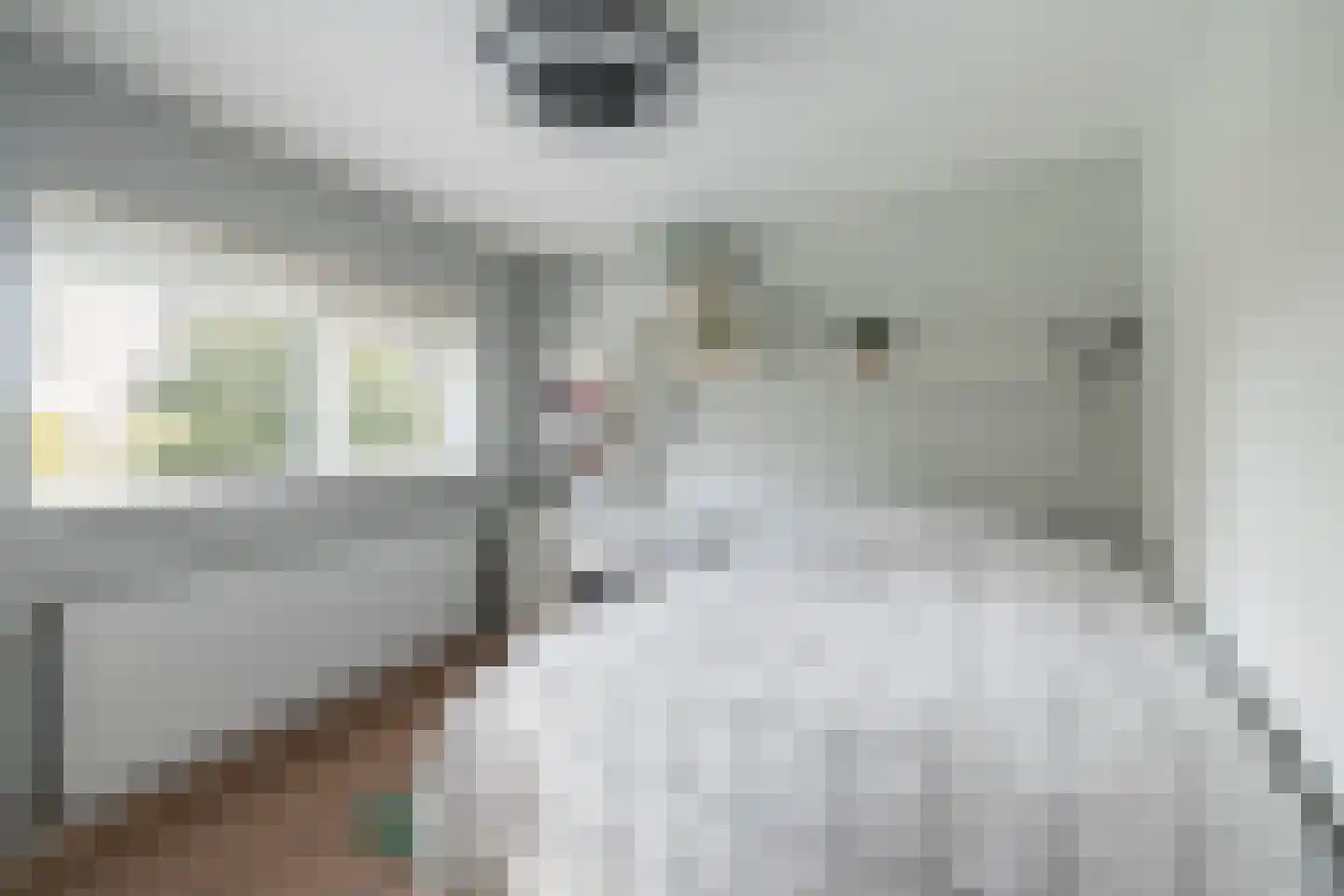 Koedoodsekade 2 Rhoon thumbnail 19