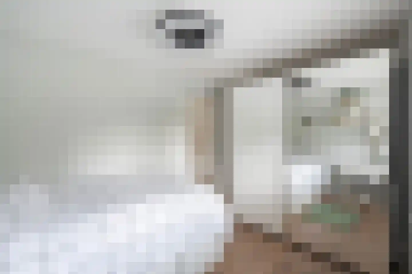 Koedoodsekade 2 Rhoon thumbnail 20