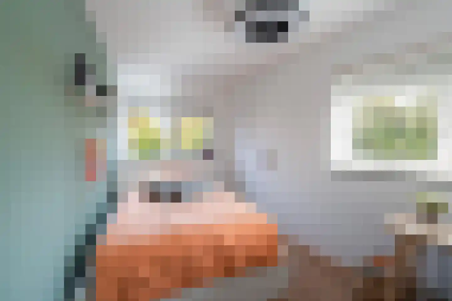 Koedoodsekade 2 Rhoon thumbnail 21