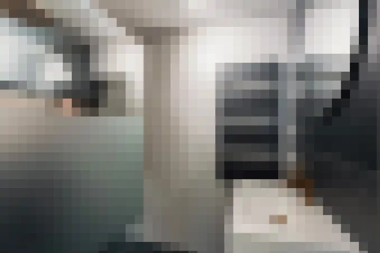 Koedoodsekade 2 Rhoon thumbnail 22