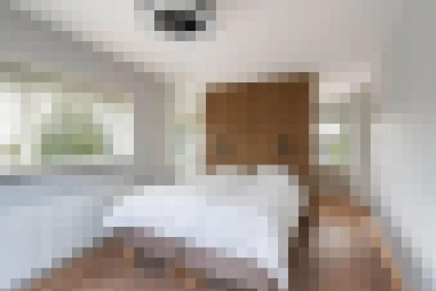 Koedoodsekade 2 Rhoon thumbnail 24