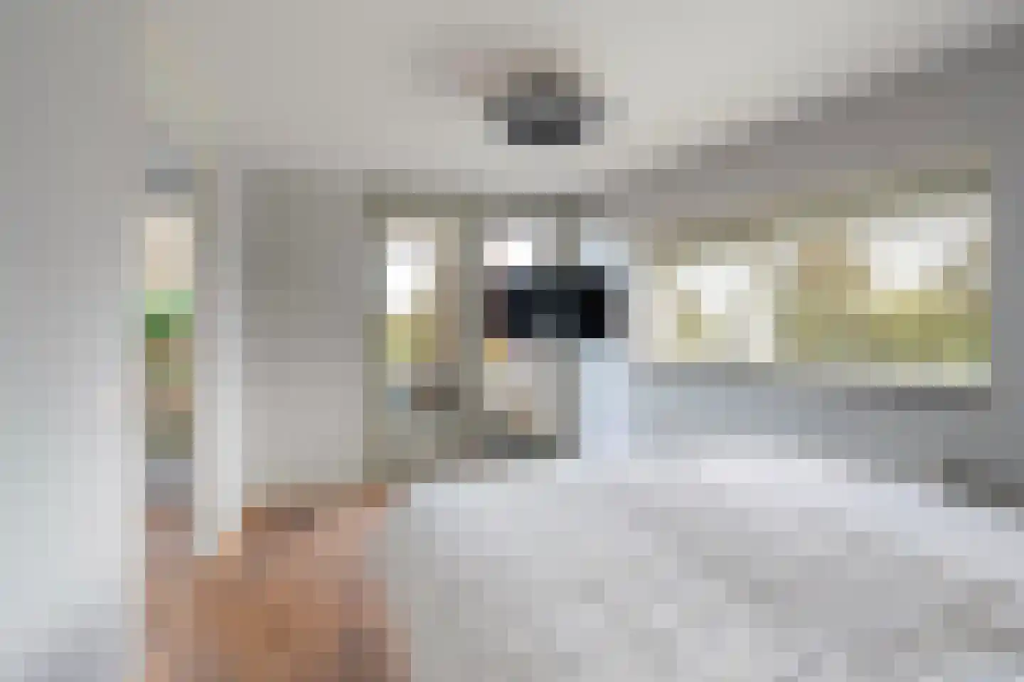 Koedoodsekade 2 Rhoon thumbnail 25