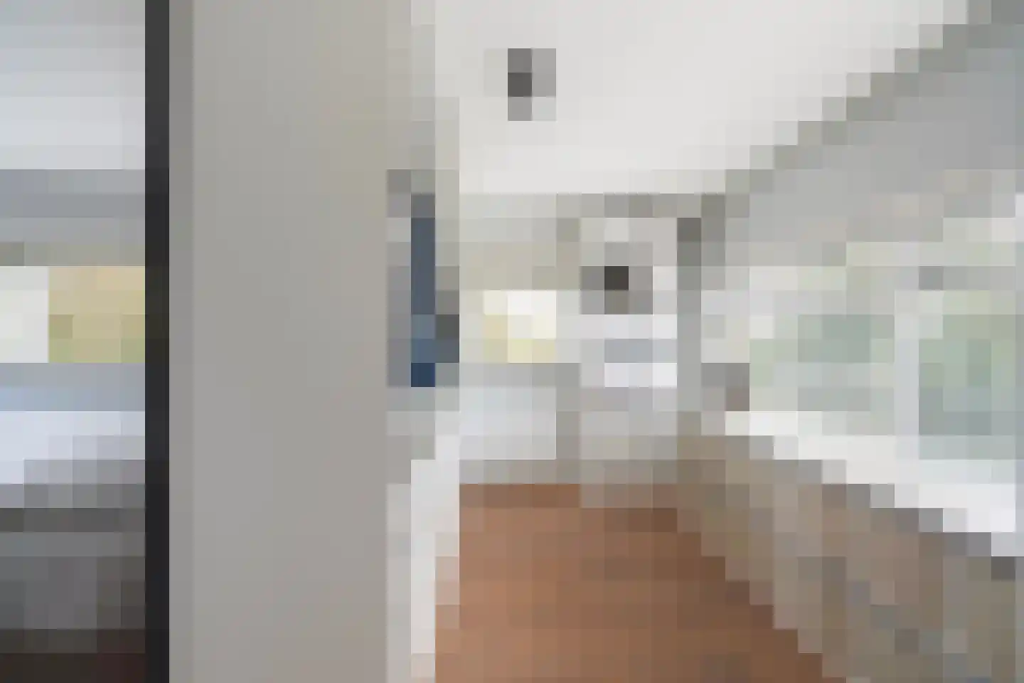 Koedoodsekade 2 Rhoon thumbnail 26