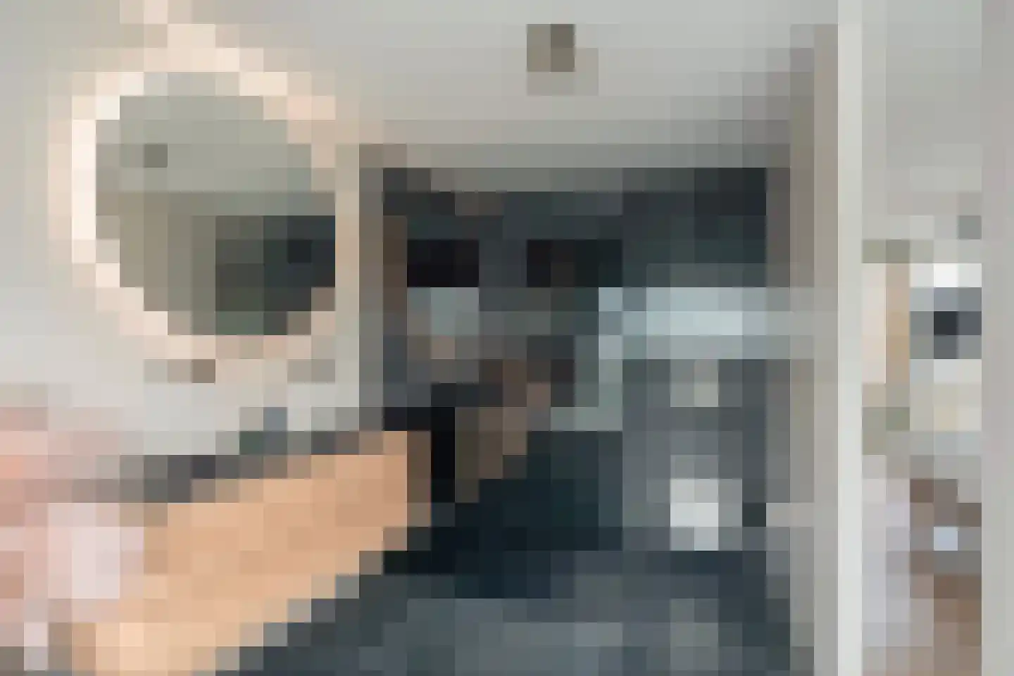 Koedoodsekade 2 Rhoon thumbnail 29