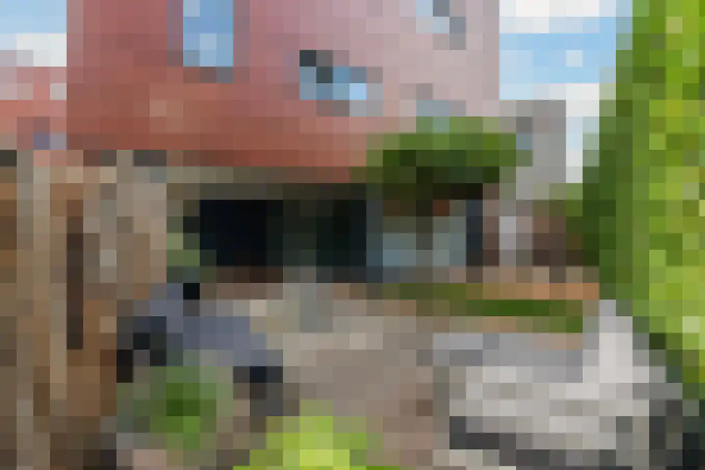 Koedoodsekade 2 Rhoon thumbnail 4